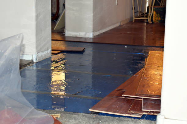 Professional Water Damage Restoration technician working in Cloverdale, IN